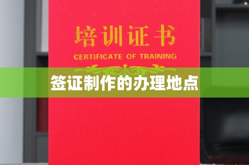 泰安签证制作的办理地点