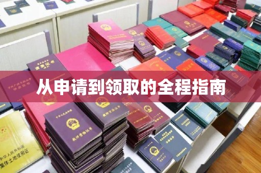 泰安从申请到领取的全程指南