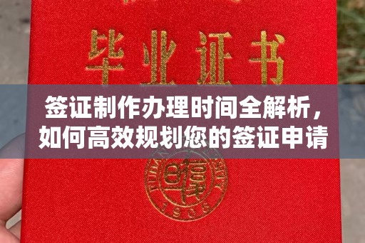 泰安签证制作办理时间全解析，如何高效规划您的签证申请流程